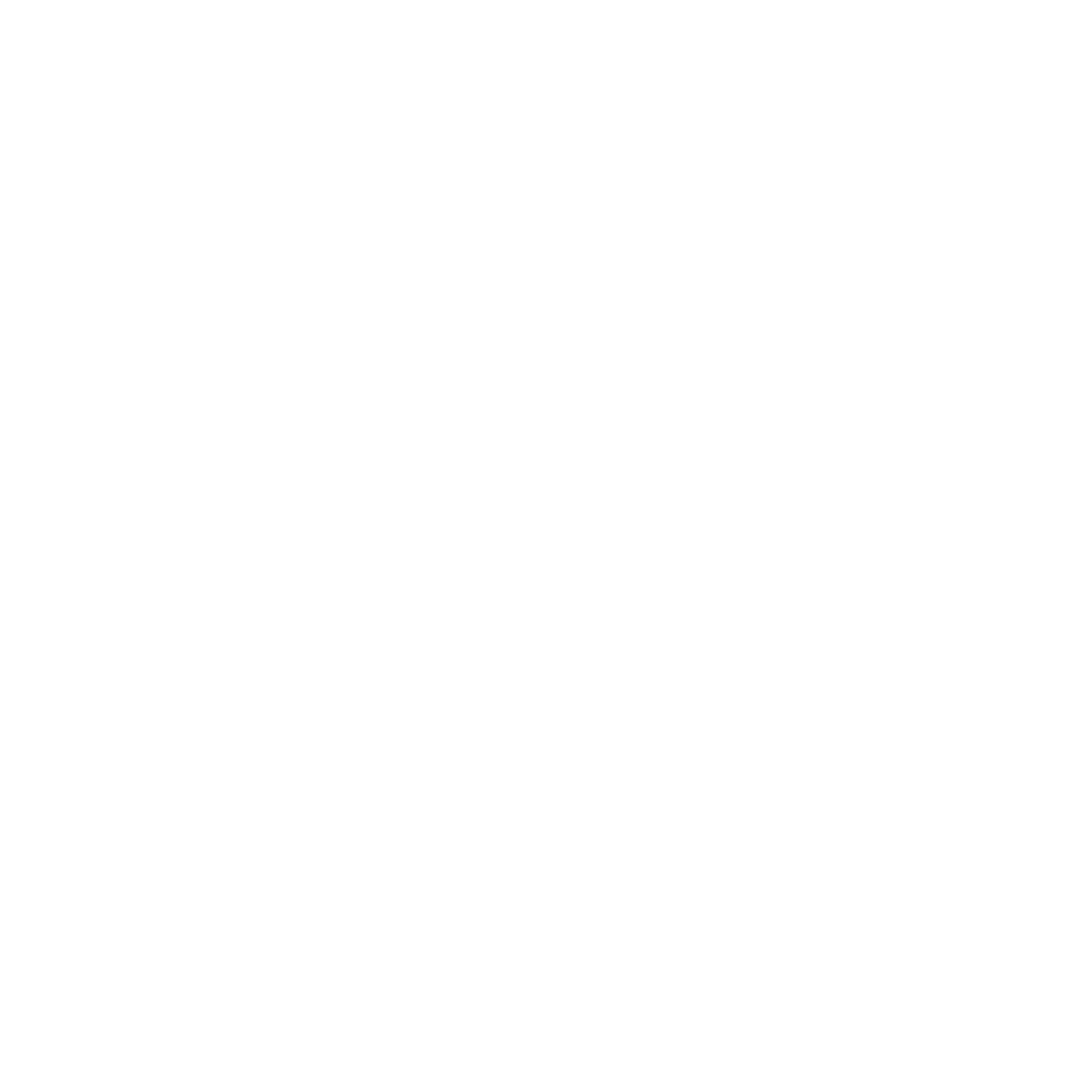 Dash